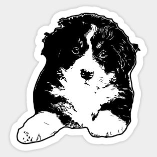 Bernese Mountain Dog Puppy Sticker